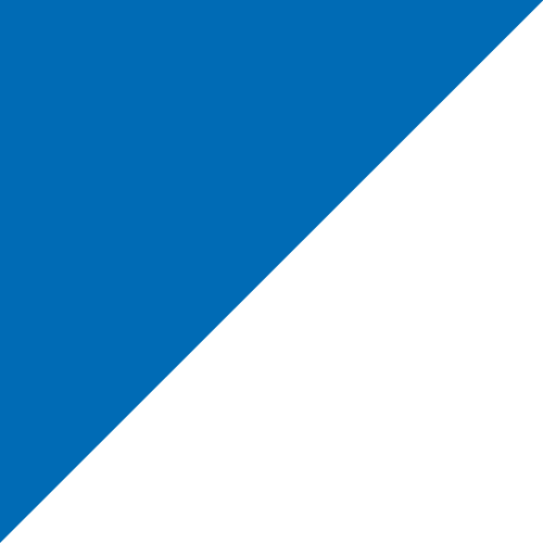 8' x 3' Tall Color Flags - Liberty Flag & Specialty