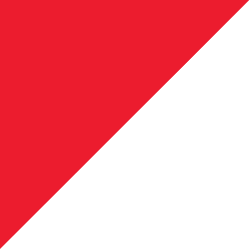 Plasticloth Pennants - Liberty Flag & Specialty