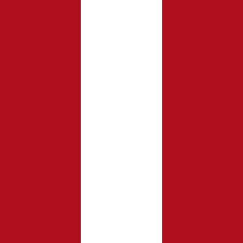 8' x 3' Tall Color Flags - Liberty Flag & Specialty