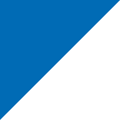 Checkered Flags - Liberty Flag & Specialty