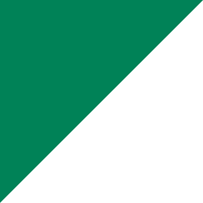 Checkered Flags - Liberty Flag & Specialty