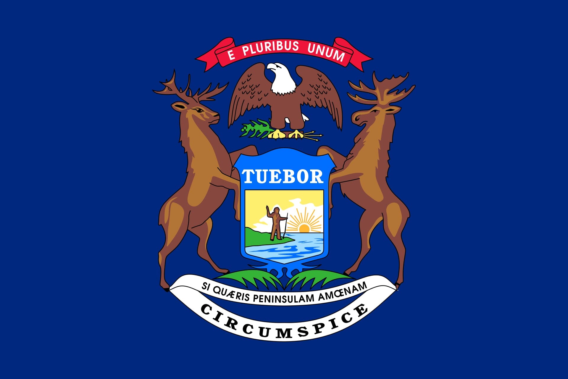 Michigan State Flag - Liberty Flag & Specialty